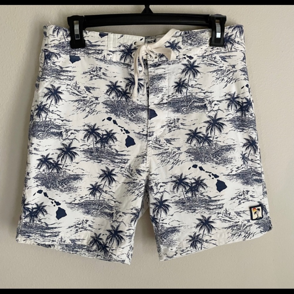 Marine Layer Swim Trunks